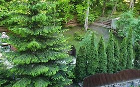 George Apartament Central cu gradina proprie